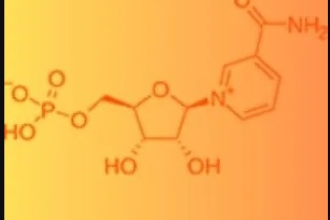 Nicotinamide mononucleotide (NMN)