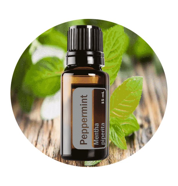 Using Tea Tree & Peppermint Essential Oils Combined
